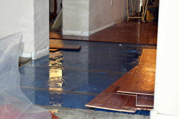 Professional Sewage Cleanup technician working in Columbus, KS